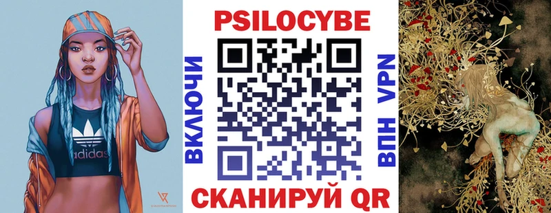 Псилоцибиновые грибы GOLDEN TEACHER  Купить  Вичуга 