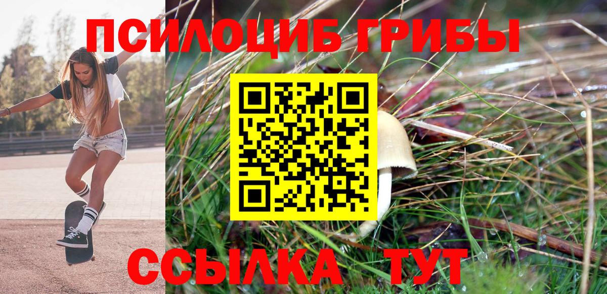 Галлюциногенные грибы мицелий  как найти наркотики  Вичуга  Вход с VPN 
