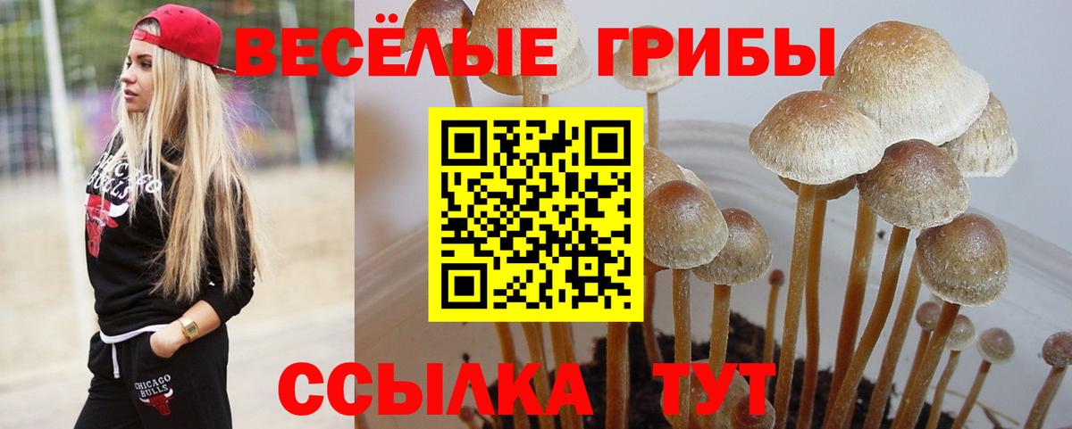 Галлюциногенные грибы ЛСД Вичуга